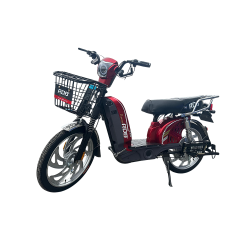 Scuter electric RDB Dunărea...