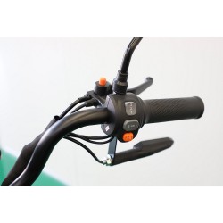 Triciclu Electric CARGO