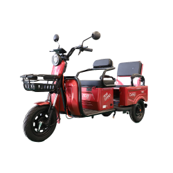 Triciclu Electric CARGO