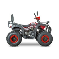 ATV AW200, 180cc, 4 Timpi