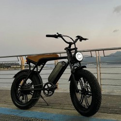 Bicicleta electrica AV8