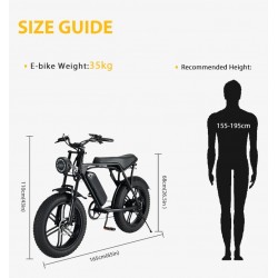 Bicicleta electrica AV8